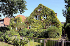 Stadtvillen dicht mit wildem Wein bewachsen; Architekturbilder aus Hamburg Fuhlsbüttel.