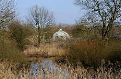 Bis zum Bau der Filteranlage auf der Billwerder Insel Kaltehofe wurde das Wasser ungefiltert aus der Elbe entnommen und als Trinkwasser über die Stadtwasseranlage.
