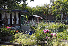 Kleingarten mit blühenden Blumen in Niedergeorgswerder; ein Blumenbeet mit Margeriten, blühende Pfingstrosen und roter Klatschmohn.