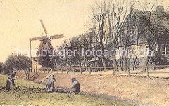 Historische Aufnahme der Wilhelmsburger Windmühle ca. 1900. Die Windmühle wurde 1885 als Galerie-Holländermühle gebaut.