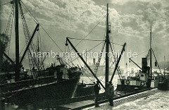 Altes Foto vom Hamburger Niederhafen - Frachtschiffe am Kai, Gegenlichtaufnahme.