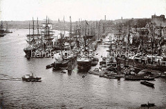 Historische Fotografie vom Jonashafen / Niederhafen  an den Hamburger Vorsetzen; Frachtschiffe - Segelschiffe und Dampfschiffe.