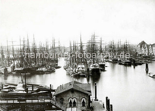 Alte Fotografie vom Hamburger Niederhafen Segelschiffe  liegen dicht gedrängt  an den Holzdalben.