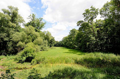Landschaft / Gartenlandschaft im Beckerbruch, Parkanlage vom Georgium in Dessau-Roßlau.