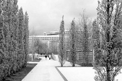 Lohsepark in der Hamburger Hafencity - im Hintergrund das Spiegelgebäude an der Ericusspitze.