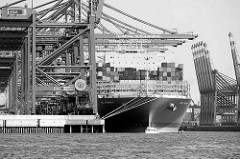 Das Containerschiff MOL TRIUMPH liegt im Hafen Hamburgs / Container Terminal Burchardkai.