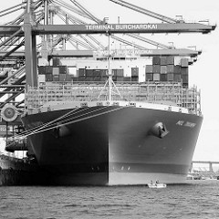 Bug der MOL TRIUMPH unter Containerbrücken im Waltershofer Hafen - Container Terminal Burchardkai in Hamburg; Schwarz-Weiss Darstellung.