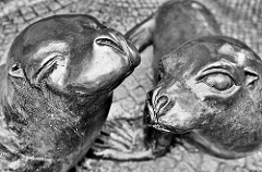 Bronzeskulpturen Seehunde in Bremerhaven, Bildhauer Bernd Müller.