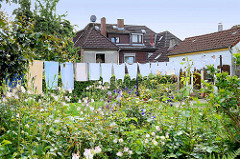 Vorgarten mit blühenden Blumen - Wäsche zum Trocknen auf der Leine - Bilder aus Hamburg Wilstorf.