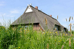 Ein neugebautes Fachwerkhaus mit Reetdach steht hinter dem Obergeorgswerder Hauptdeich; blühendes Wildkraut und Gras auf der Deichkrone.