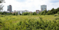 Industriebrache  - Wildkraut und Sträucher am Östlichen Bahnhofskanal in Hamburg Harburg - im Hintergrund Wohnhäuser und Bürogebäude auf der Bahnhofsinsel.