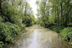 Naturschutzgebiet Rhee im Hamburger Stadtteil Wilhelmsburg; das NSG  ist 18 Hektar groß und  liegt im Stromspaltungsgebiet der Elbe.