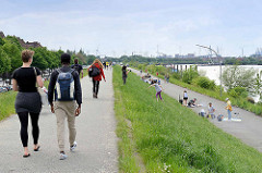 Sonntag Nachmittag in Hamburg Wilhelmsburg - Grillen und Spaziergang auf dem Deich am Spreehafen, ehem. Zollgrenze / Freihafengrenze.