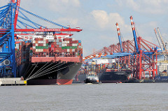 Containerschiffe im Hamburger Hafen - Hafenbecken Waltershofer Hafen; lks. das Container Terminal Burchardkai, lks. EUROGATE.