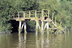 Alte Holztreppe / Wassertreppe am Prager Ufer im Hamburger Moldauhafen - das Ufer ist dicht mit Gebüsch und Weiden bewachsen.