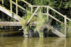 Wassertreppe aus Holz - Prager Ufer im Moldauhafen, Hamburg; das Ständerwerk der alten Holztreppe ist mit Gras und Wildkraut bewachsen.