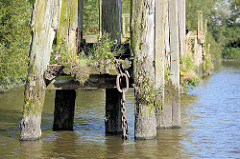 Holzdalben / Anlegepfähle aus Holz, vom Zahn der Zeit angefressen; Wildkraut wächst aus vermodertem Holz, eine Eisenketten hängt ins Hafenwasser; Prager Ufer im Moldauhafen, Hafenbecken im Hamburger Hafen.