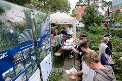 Projekt Seevekanal 2021 – KanalTag 2017;  Schulprojekt / Bezirksamt / Anwohner informieren über die ökologischen Maßnahmen am Seevekanal in Hamburg Harburg vor dem Phoenix Center.