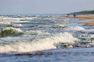 Wellen / Ostseewellen an der Kurischen Nehrung bei Nida.