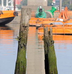 Reste alter Holzdalben, bemoost und mit Farn bewachsen - Arbeitschiffe im Rugenberger Hafen in Hamburg Waltershof.
