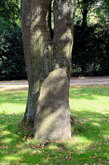 Gedenkstein Up ewig ungedeelt 1848-1858 mit Eichenlaub - heute Wahlspruch von Schleswig-Holstein. Eichenbaum und Findling bei der Stellinger Kirche Molkenbuhrstrasse.