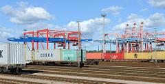 Containerzüge am EUROGATE Containerbahnhof im Hamburger Stadtteil Waltershof; im Hintergrund Containerkräne.