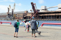 Hafenpromenade in Ventspils / Windau, Lettland; bunte Plastikkuh auf dem Kai - im Hintergrund Hafenkräne und eine Förderanlage für Schüttgut.