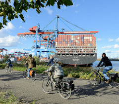 Fahrradtour am Container Terminal Hamburg Altenwerder - das Containerschiff YM Wittness liegt unter den Containerbrücken.