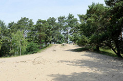 Hohe Sanddüne und Kiefern / Birken im Naturschutzgebiet Besenhorster Sandberge und Elbsandwiesen bei Geesthacht.