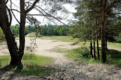 Hohe Sanddünen und Kiefern / Birken im Naturschutzgebiet Besenhorster Sandberge und Elbsandwiesen bei Geesthacht.
