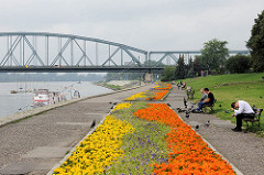 Uferpromenade an der Weichsel in Toruń; bunte Blumenrabatten - Józef-Piłsudski-Brücke.