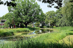 Teich im Stadt- / Hachede-Park in Geesthacht; ehem. Kräutergarten vom Pastorat.