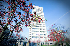Hochhaus am Alsenplatz in Hamburg Altona-Nord; Früchte vom Zierapfel.