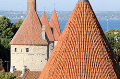 Blick vom Domberg auf die Stadtbefestigung / Wehrtürme der Unterstadt in Tallinn.