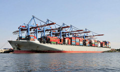 Bilder von Containerschiffen im Hamburger Hafen. Der 46m breite und 336m lange Frachter Human Bridge liegt unter den Containerbrückendes HHLA Terminals Burchardkai.