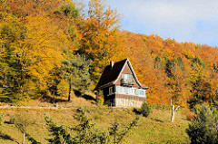 Herbstwald im Harz - bunte Herbstbäume in Stolberg - Holzhaus im Wald.