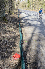 Auf einer Länge von 600 m wird ein grüner Krötenzaun entlang der viel befahrenen Straße am Tangstedter  Forst errichtet. Dieser Krötenzaun hält die wandernden Kröten vom Überqueren der  Straße ab.