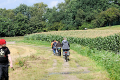 Radweg / Feldweg mit FahrradfahrerInnen am Rand eines Maisfeldes beim Weyerberg in Worpswede.
