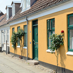 Wohnhäuser mit blühenden Stockrosen - Korsbrødregade in Ribe.