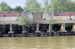 Durch Niedrigwasser freigelegte Kaimauer im Moldauhafen - Hamburg Kleiner Grasbrook; die Betonstützen der Kaianlage ruhen auf einer Holzkonstruktion.