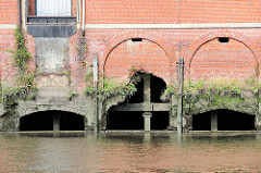 Aussenmauer eines Lagerhauses am Saalehafen im Hamburger Stadtteil Grasbrook - die Ziegelmauer ist teilweise zerbrochen - Wildkraut wächst in den Mauerritzen.