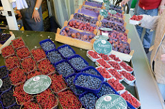 Beeren und Obst - Stand auf dem Wochenmarkt in Hamburg Volksdorf.