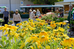 Blumenstand auf dem Wochenmarkt in Hamburg Volksdorf.