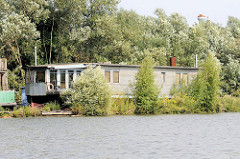 Alte Hausboote am Spandauer Ufer im Hamburger Spreehafen; auf dem Holzsteg / Ponton wachsen wilde junge Bäume.