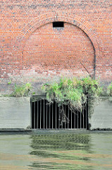 Fundament vom Lagerhaus G im Saalehafen im Hamburger Stadtteil Kleiner Grasbrook - der Durchlass ist vergittert, Wildkraut spriesst aus den Mauerfugen.