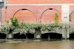 Aussenmauer eines Lagerhauses am Saalehafen im Hamburger Stadtteil Grasbrook - Wildkraut wächst in den Mauerritzen der Ziegelmauer.