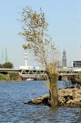 Alte verrottete Reste einer Holzdalbe an der Einfahrt zum Reiherstieg Schleusenfleet in Hamburg Wilhelmsburg - im Hintergrund der Reiherstieg und der Fernsehturm / St. Michaeliskirche.