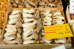 Unterschiedliche Pilze in Holzkisten an einem Gemüsestand auf dem Alsterdorfer Wochenmarkt / Marktplatz.