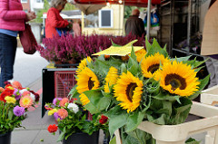 Blumenstand auf dem Wochenmarkt Grundstraße im Hamburger Stadtteil Eimsbüttel; Sonnenblumen und dem Hintergrund Heidekraut.