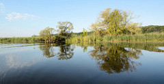 Westoder auf dem Weg nach Stettin; dichter Baumbestand bis ans Ufer der Oder.